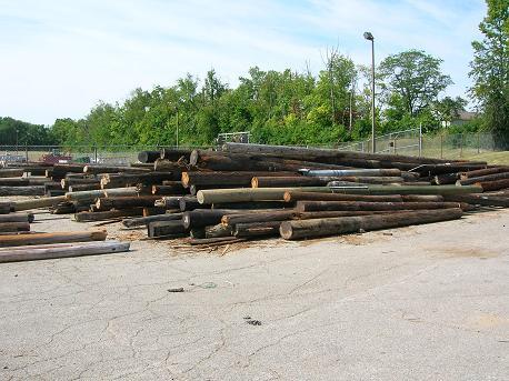Salvage (Used) Wood Utility Poles